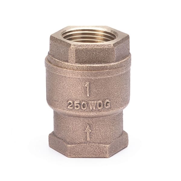 548T-200 2" - FIP x FIP - Bronze Check Valve - 250 WOG, Spring Check, Bronze Seat, TFE Disc