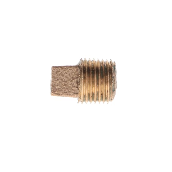 310-181NL 1/4" - Brass Plug