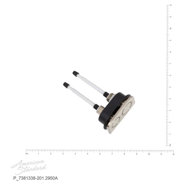 7381338-201.2950A Dual Flush Push Button, Brushed Nickel