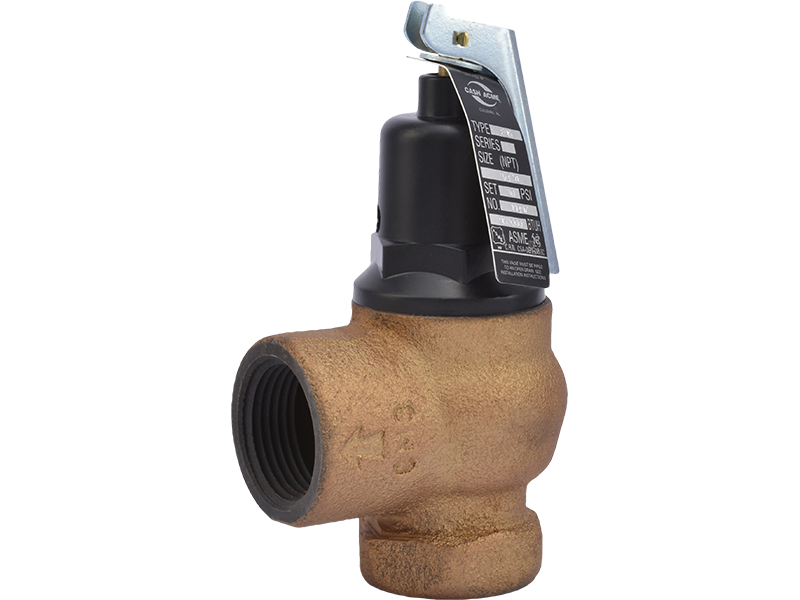 19497-0050 F-95 3/4" x 1" Pressure Relief Valve, 50 PSI, Iron Body