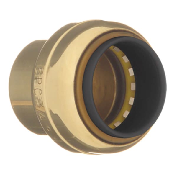 10188132 1-1/2" Tube Cap - Push
