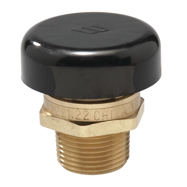0556031 3/4" Lead Free Brass Vacuum Relief Valve, Male NPT, Protective Cap