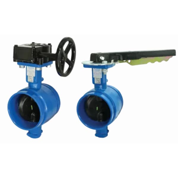 2-1/2" Grvd BFV E Grd Disc Epoxy Coated