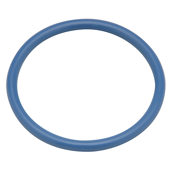 P6000-C31 O-Ring for Tailpiece, Chemical-Resistant