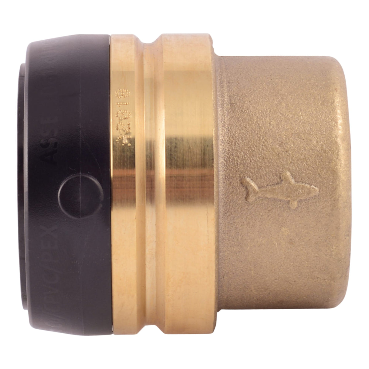UXL0441 1-1/2'' End Cap - (PTC)