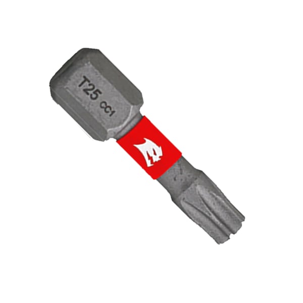 DT251P25 1" #25 Torx Drive Bits (25-Pack)