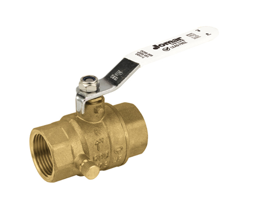 100-635G 1" FIP - Full Port, 2 Piece, Threaded Connection, 600 WOG, Stainless Steel Ball and Stem with Drain